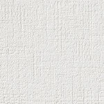 ホワイト 塗り壁調  防かび 抗菌  サンゲツ RE55206 旧品番RE53440