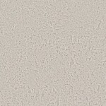 ライトグレー 塗り壁調 ウレタンコート 防かび 抗菌 表面強化 撥水  サンゲツ RE55293 
