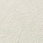 シャドーホワイト 塗り壁調 ウレタンコート 表面強化 防かび  サンゲツ RE55317 