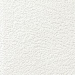ホワイト 塗り壁調  抗ウィルス 抗菌 防かび  サンゲツ RE55339 
