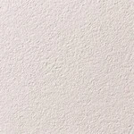 アイボリー 塗り壁調  汚れ防止 抗菌 防かび  サンゲツ RE55412 