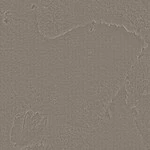 グレー 塗り壁調 スーパー耐久性 汚れ防止 耐久 抗菌 表面強化 防かび  サンゲツ RE55453 