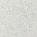 ライトグレー 塗り壁調 スーパー耐久性 汚れ防止 耐久 抗菌 表面強化 防かび  サンゲツ RE55465 旧品番RE53731