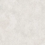 シャドーホワイト 塗り壁調  汚れ防止 抗菌 防かび  サンゲツ RE55500 