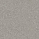 ライトグレー 塗り壁調  汚れ防止 抗菌 防かび  サンゲツ RE55518 