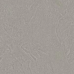 ライトグレー 塗り壁調  汚れ防止 抗菌 防かび  サンゲツ RE55518 