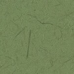 グリーン 塗り壁調  防かび  サンゲツ RE55695 