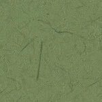 グリーン 塗り壁調  防かび  サンゲツ RE55695 