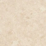 ベージュ ノンワックスコーティング+衝撃吸収＋抗菌+抗ウイルス+消臭 サンゲツ SKC-2449 旧品番SK-22070