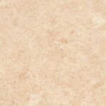 ライトブラウン ノンワックスコーティング+衝撃吸収＋抗菌+抗ウイルス+消臭 サンゲツ SKC-2450 旧品番SK-22071