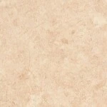 ライトブラウン ノンワックスコーティング+衝撃吸収＋抗菌+抗ウイルス+消臭 サンゲツ SKC-2450 旧品番SK-22071