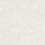 ライトグレー 塗り壁調  消臭 抗菌 防かび  サンゲツ TH34193