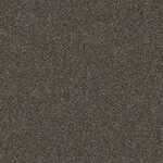 ベージュ 塗り壁調  防かび  サンゲツ TH34244