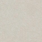グレー 塗り壁調  抗ウィルス 抗菌 防かび  サンゲツ TH34279