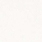 ホワイト 塗り壁調  消臭 抗菌 防かび  サンゲツ TH34395