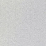 ライトグレー 塗り壁調  抗菌 表面強化 防かび  サンゲツ TH34402