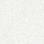 ホワイト 塗り壁調  防かび 抗菌 撥水  サンゲツ TH34441