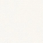 ホワイト 織物調  防かび 抗菌  サンゲツ TH34447