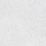ライトグレー 塗り壁調  防かび  サンゲツ TH34615