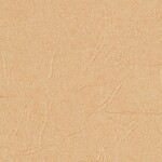 オレンジ 塗り壁調 ウレタンコート 防かび 抗菌 表面強化 撥水  サンゲツ TH34807