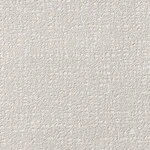 ライトグレー 塗り壁調  調湿効果 防かび  サンゲツ TH34855