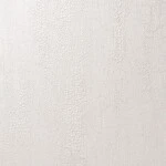 シャドーホワイト 塗り壁調 消臭 防かび   ルノン C22-2115