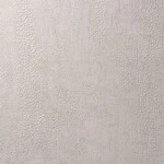 ライトグレー 塗り壁調 消臭 防かび   ルノン C22-2117