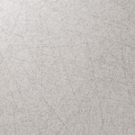 ライトグレー 塗り壁調 防かび　表面強化　消臭   ルノン C22-2139