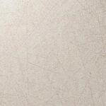 ベージュ 塗り壁調 防かび　表面強化　消臭   ルノン C22-2140
