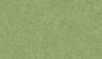 パーマリューム モンテ