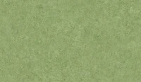 パーマリューム モンテ