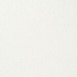 ホワイト 塗り壁調 消臭 防かび   ルノン RF8005