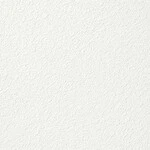 ホワイト 塗り壁調 消臭 防かび   ルノン RF8008