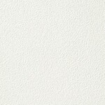 ホワイト 塗り壁調 消臭 防かび   ルノン RF8014