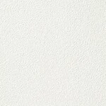 ホワイト 塗り壁調 消臭 防かび   ルノン RF8014