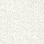 ホワイト 塗り壁調 消臭 防かび   ルノン RF8016