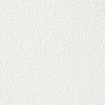 ホワイト 塗り壁調 消臭 防かび   ルノン RF8017