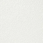 ホワイト 塗り壁調 消臭 防かび   ルノン RF8017