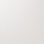 ライトアイボリー 塗り壁調 消臭  透湿性 防かび   ルノン RF8087