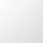 ホワイト 塗り壁調 消臭 抗菌 防かび   ルノン RF8111