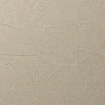 ベージュ 塗り壁調 消臭 抗菌 防かび   ルノン RF8113