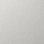 ライトグレー 塗り壁調 消臭 抗菌 防かび   ルノン RF8116