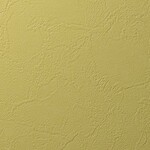 イエロー 塗り壁調 消臭 抗菌 防かび   ルノン RF8117