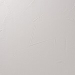 ベージュ 塗り壁調 防かび  撥水 消臭   ルノン RF8120