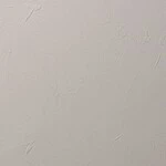 ベージュ 塗り壁調 防かび  撥水 消臭   ルノン RF8121