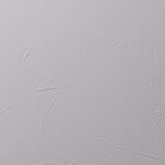 ライトグレー 塗り壁調 防かび  撥水 消臭   ルノン RF8122