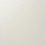 アイボリー 塗り壁調 消臭 防かび   ルノン RF8124