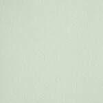 グリーン 塗り壁調 消臭 防かび   ルノン RF8129
