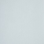 ライトブルー 塗り壁調 消臭 防かび   ルノン RF8130