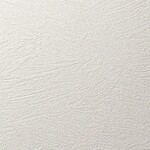 アイボリー 塗り壁調 消臭 防かび   ルノン RF8148